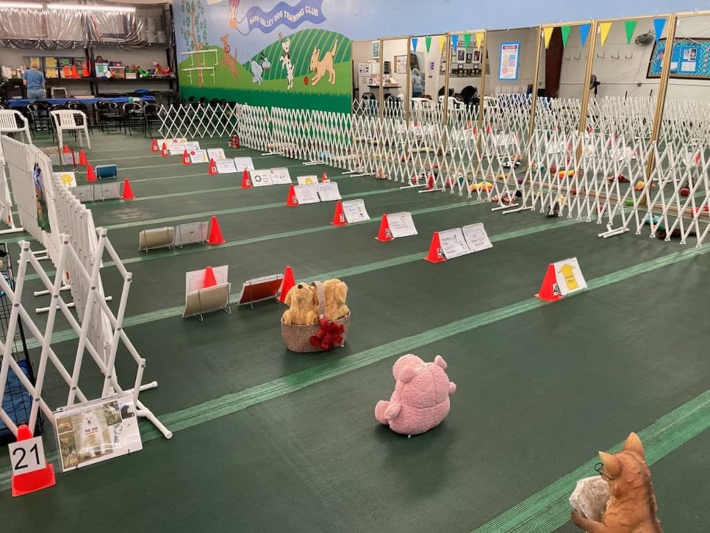Rally course in the training hall