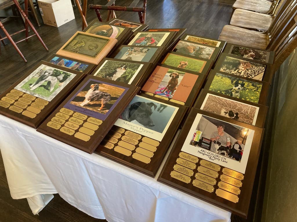 Hall of Fame award plaques