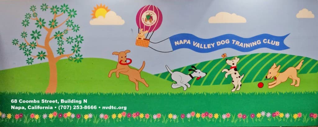 Illustrated Napa Valley Dog Training Club banner with hot air balloon, dogs, and club contact information